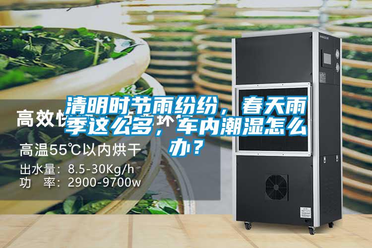 清明時(shí)節(jié)雨紛紛，春天雨季這么多，車內(nèi)潮濕怎么辦？
