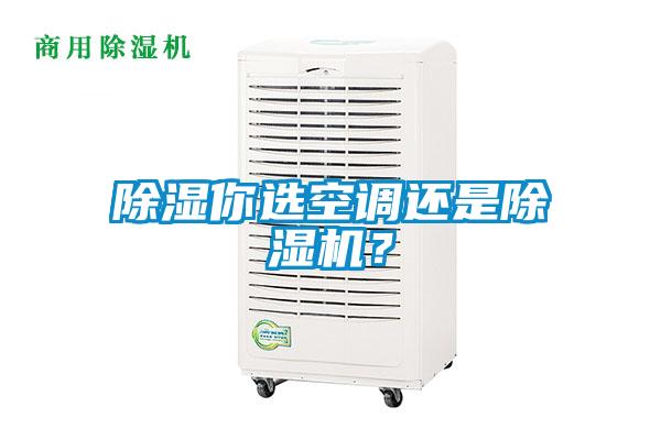 除濕你選空調還是除濕機？
