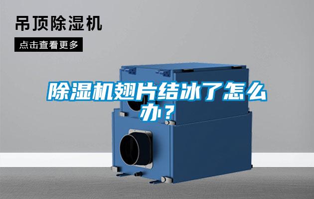 除濕機翅片結(jié)冰了怎么辦？