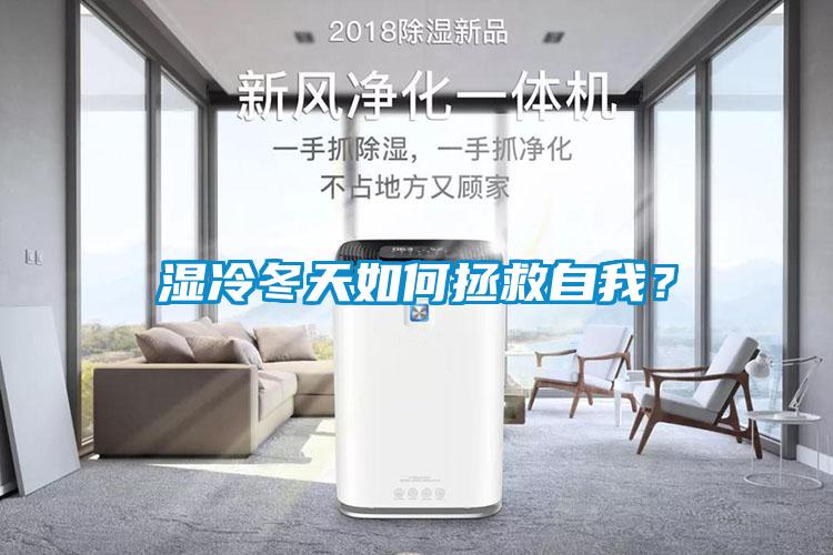 濕冷冬天如何拯救自我？