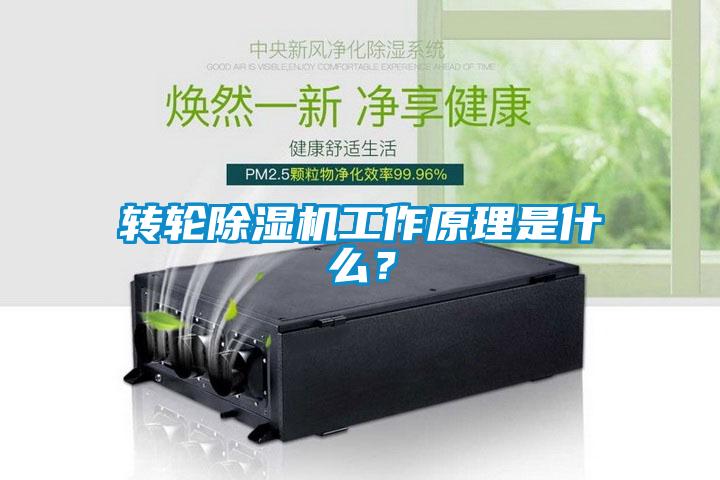 轉(zhuǎn)輪除濕機(jī)工作原理是什么？