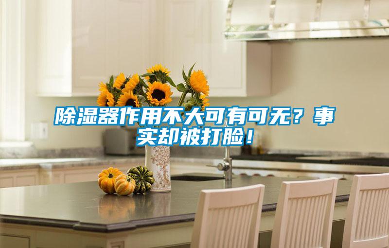 除濕器作用不大可有可無(wú)？事實(shí)卻被打臉！