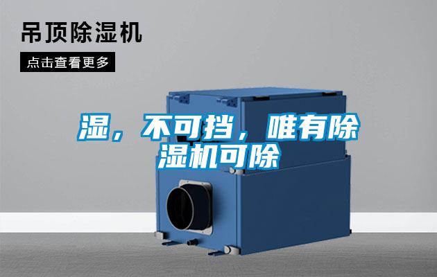 濕，不可擋，唯有除濕機(jī)可除