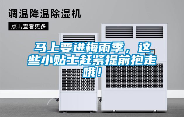 馬上要進梅雨季，這些小貼士趕緊提前抱走哦！