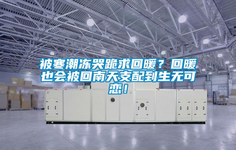 被寒潮凍哭跪求回暖？回暖也會被回南天支配到生無可戀！