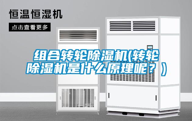 組合轉(zhuǎn)輪除濕機(jī)(轉(zhuǎn)輪除濕機(jī)是什么原理呢？)