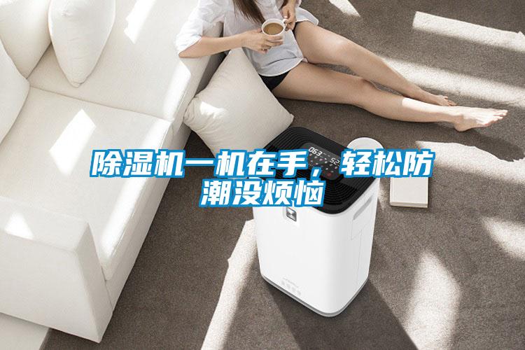 除濕機一機在手，輕松防潮沒煩惱