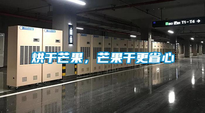 烘干芒果，芒果干更省心