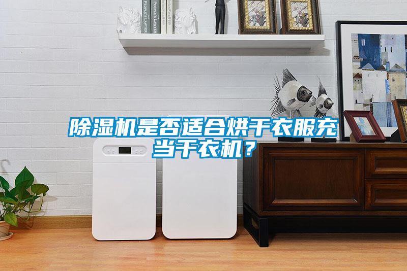 除濕機(jī)是否適合烘干衣服充當(dāng)干衣機(jī)？