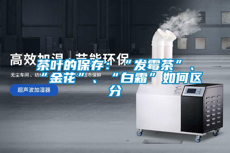 茶葉的保存：“發(fā)霉茶”、“金花”、“白霜”如何區(qū)分