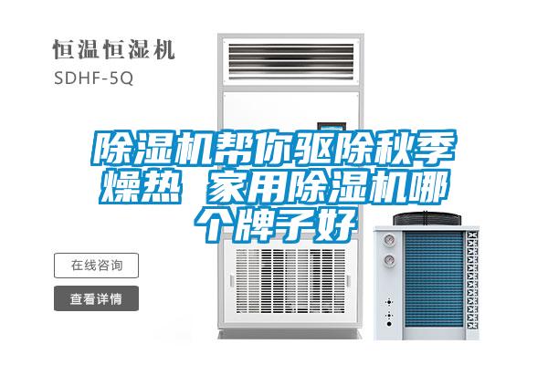 除濕機(jī)幫你驅(qū)除秋季燥熱 家用除濕機(jī)哪個牌子好
