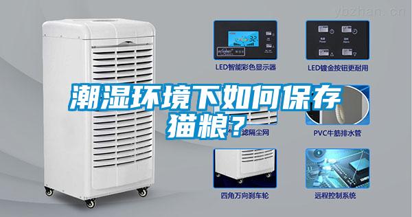 潮濕環(huán)境下如何保存貓糧？