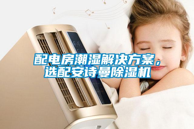 配電房潮濕解決方案，選配安詩(shī)曼除濕機(jī)