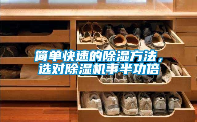 簡單快速的除濕方法，選對除濕機事半功倍