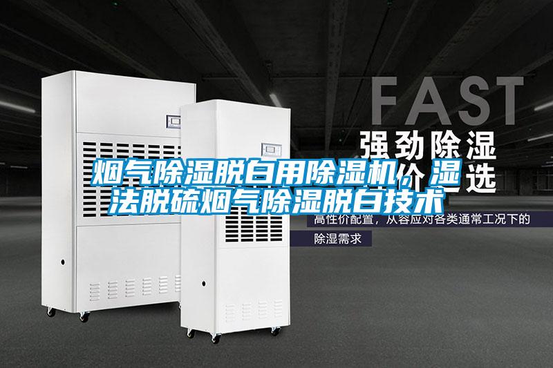 煙氣除濕脫白用除濕機(jī)，濕法脫硫煙氣除濕脫白技術(shù)