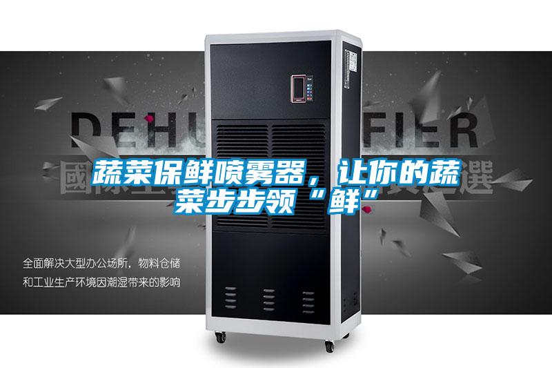 蔬菜保鮮噴霧器，讓你的蔬菜步步領(lǐng)“鮮”
