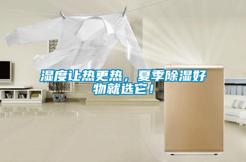 濕度讓熱更熱，夏季除濕好物就選它！