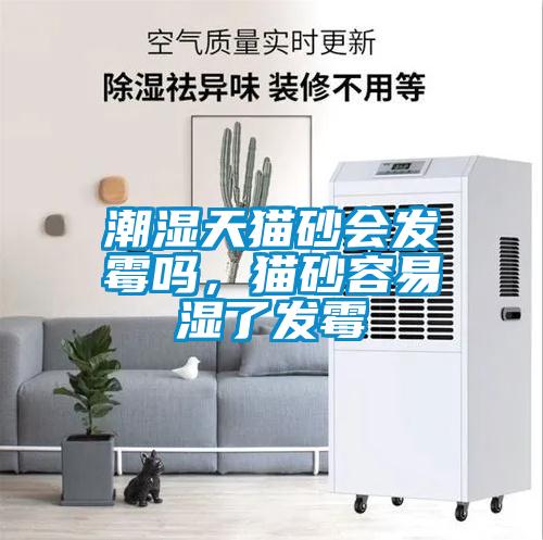 潮濕天貓砂會發(fā)霉嗎，貓砂容易濕了發(fā)霉
