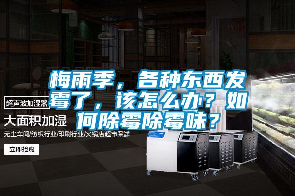 梅雨季，各種東西發(fā)霉了，該怎么辦？如何除霉除霉味？