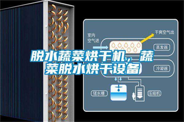 脫水蔬菜烘干機(jī)，蔬菜脫水烘干設(shè)備