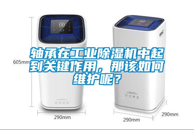 軸承在工業(yè)除濕機(jī)中起到關(guān)鍵作用，那該如何維護(hù)呢？