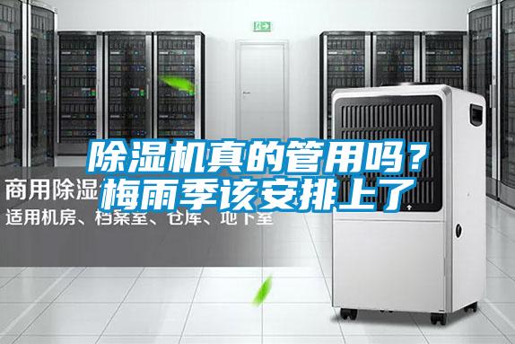 除濕機真的管用嗎？梅雨季該安排上了