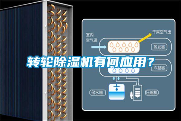 轉(zhuǎn)輪除濕機有何應(yīng)用？