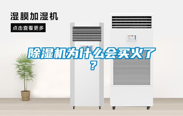除濕機(jī)為什么會(huì)買火了？