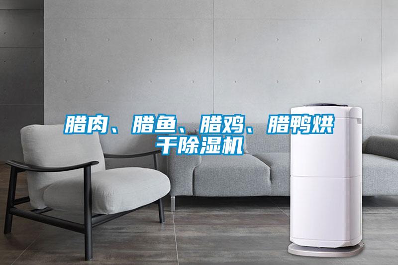 臘肉、臘魚、臘雞、臘鴨烘干除濕機