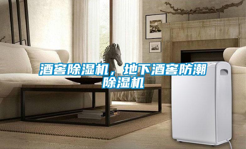 酒窖除濕機，地下酒窖防潮除濕機