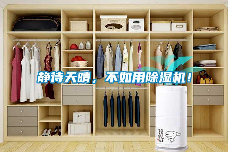 靜待天晴，不如用除濕機(jī)！