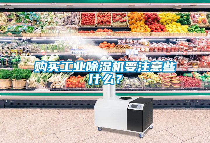 購買工業(yè)除濕機要注意些什么？