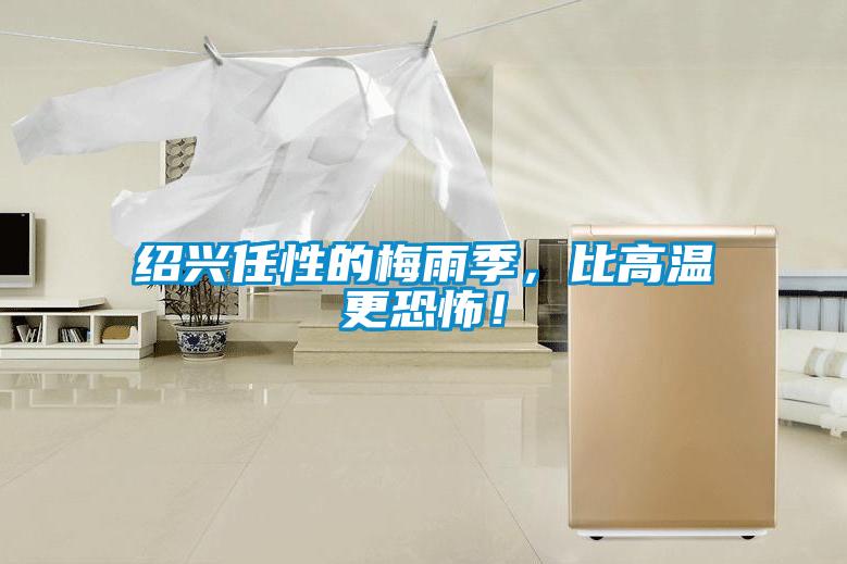 紹興任性的梅雨季，比高溫更恐怖！