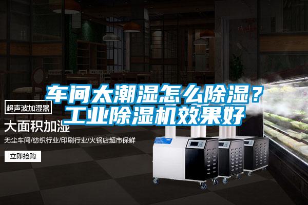車間太潮濕怎么除濕？工業(yè)除濕機(jī)效果好