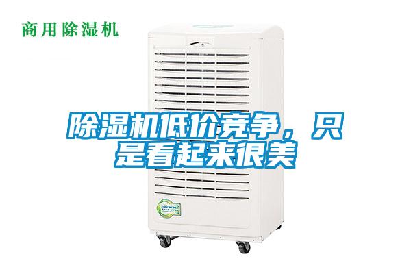 除濕機(jī)低價(jià)競(jìng)爭(zhēng)，只是看起來(lái)很美