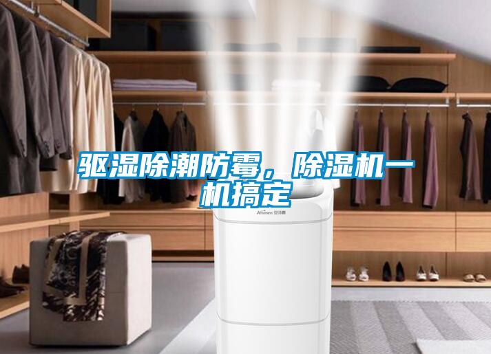 驅(qū)濕除潮防霉，除濕機(jī)一機(jī)搞定
