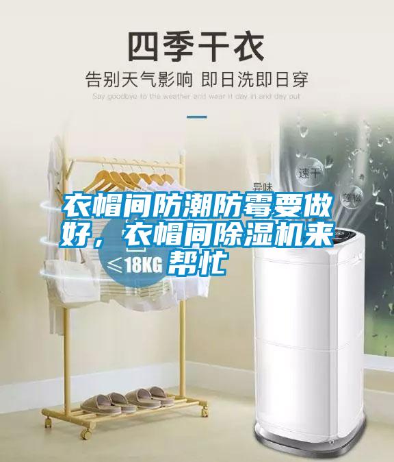 衣帽間防潮防霉要做好，衣帽間除濕機來幫忙