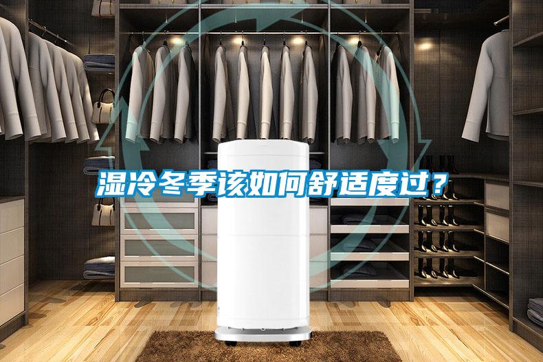 濕冷冬季該如何舒適度過(guò)？