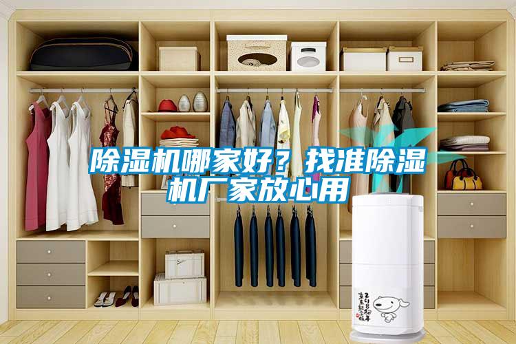 除濕機(jī)哪家好？找準(zhǔn)除濕機(jī)廠家放心用