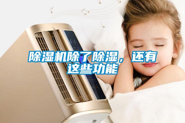 除濕機(jī)除了除濕，還有這些功能