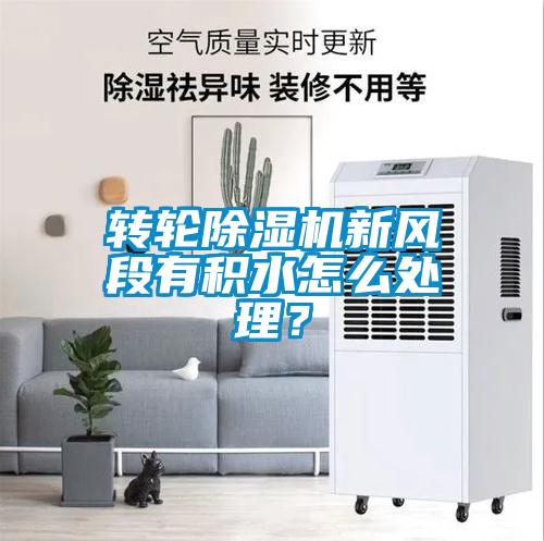 轉(zhuǎn)輪除濕機新風(fēng)段有積水怎么處理？