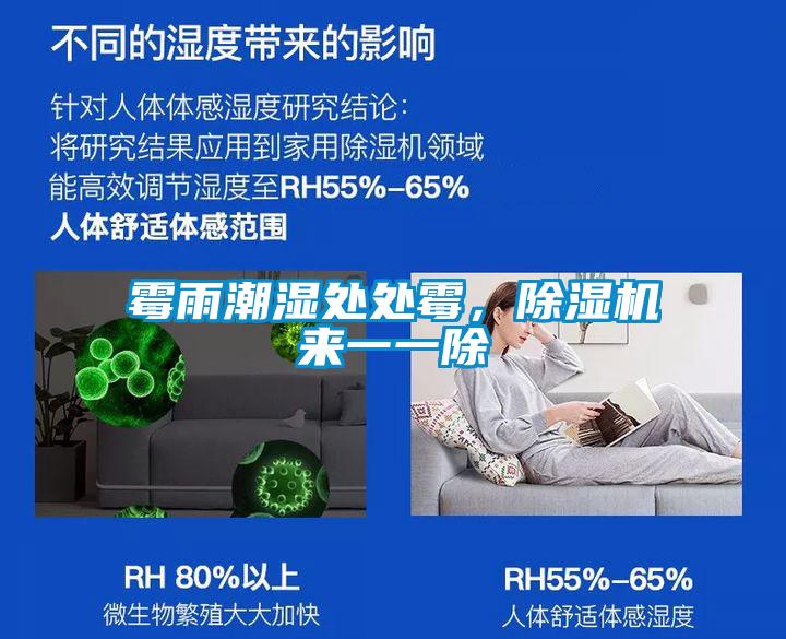 霉雨潮濕處處霉，除濕機(jī)來(lái)一一除