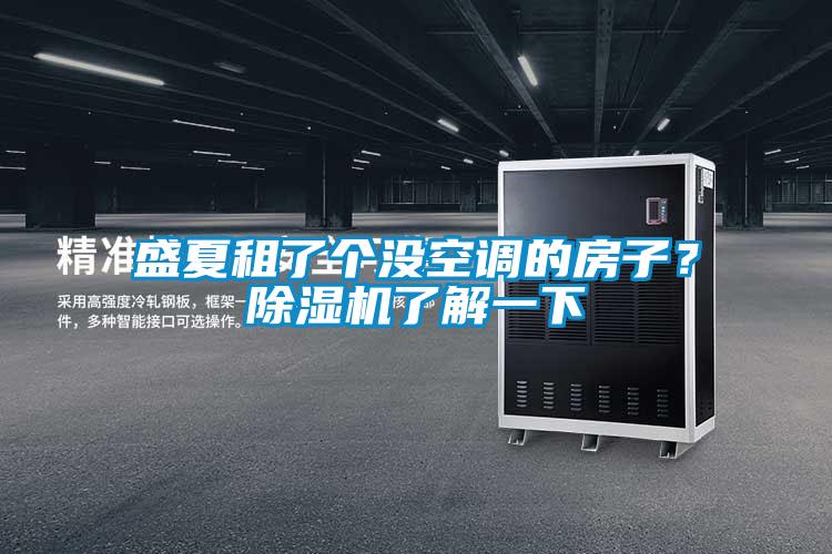 盛夏租了個沒空調(diào)的房子？除濕機(jī)了解一下