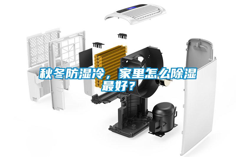 秋冬防濕冷，家里怎么除濕最好？