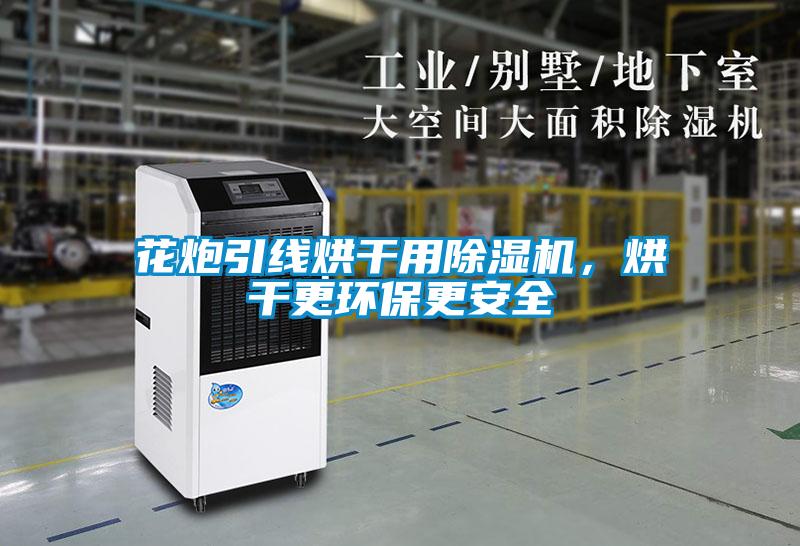 花炮引線烘干用除濕機(jī)，烘干更環(huán)保更安全