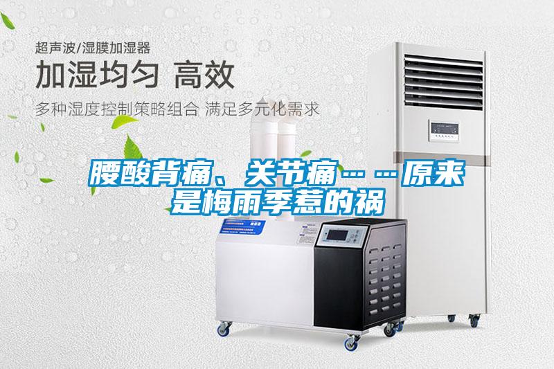 腰酸背痛、關(guān)節(jié)痛……原來是梅雨季惹的禍