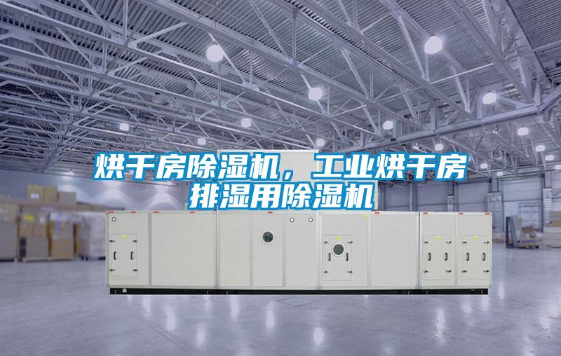 烘干房除濕機(jī)，工業(yè)烘干房排濕用除濕機(jī)