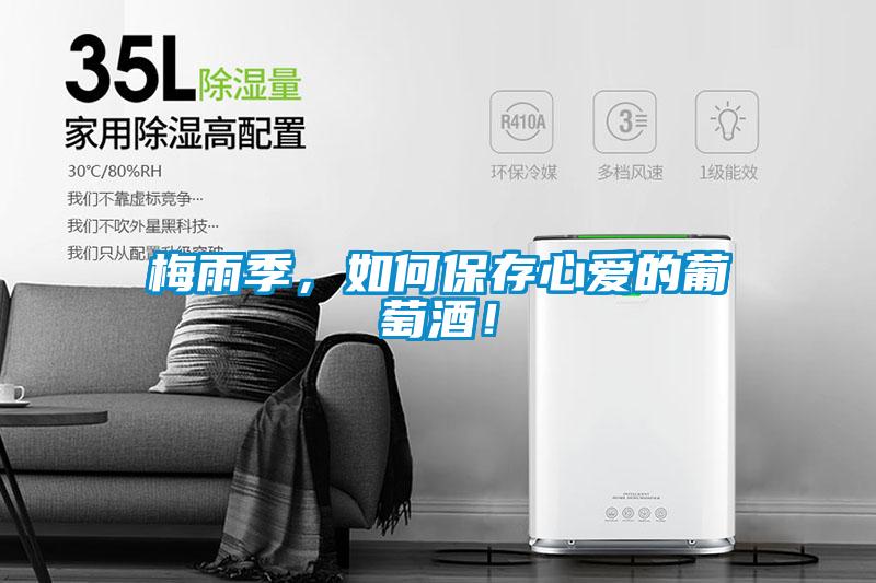 梅雨季，如何保存心愛的葡萄酒！