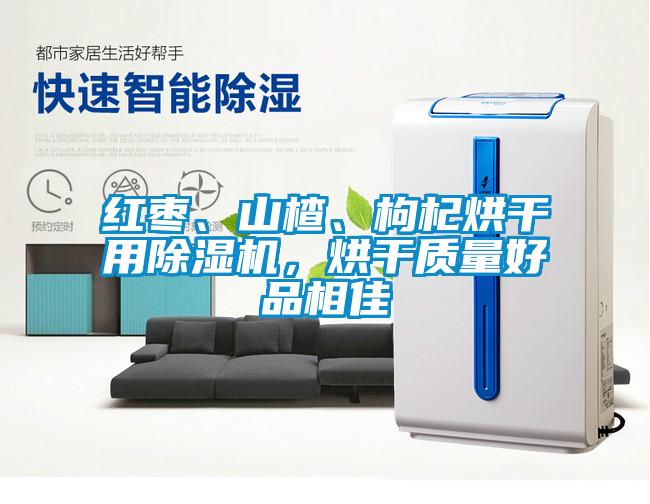 紅棗、山楂、枸杞烘干用除濕機(jī)，烘干質(zhì)量好品相佳