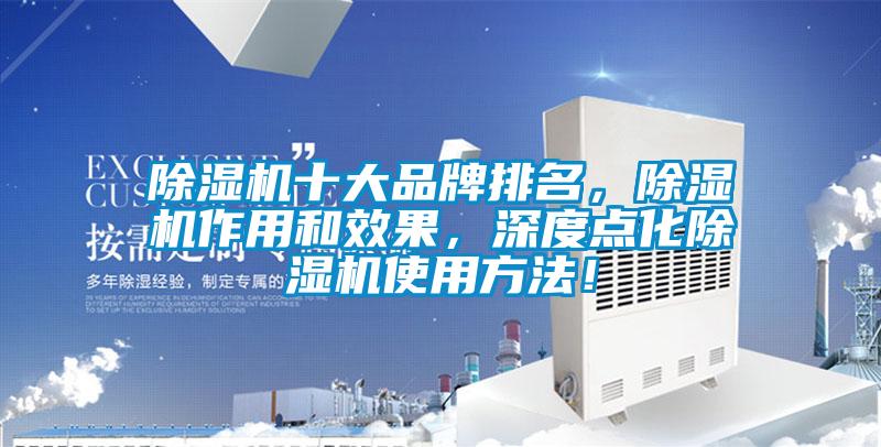 除濕機十大品牌排名，除濕機作用和效果，深度點化除濕機使用方法！